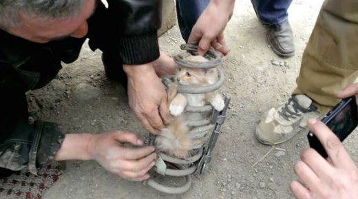 CAT 2